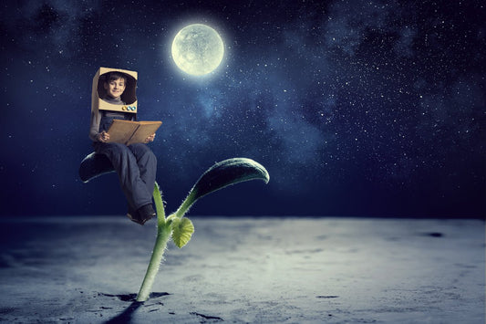 Der MoonWalker Verlag - MoonWalker Verlag