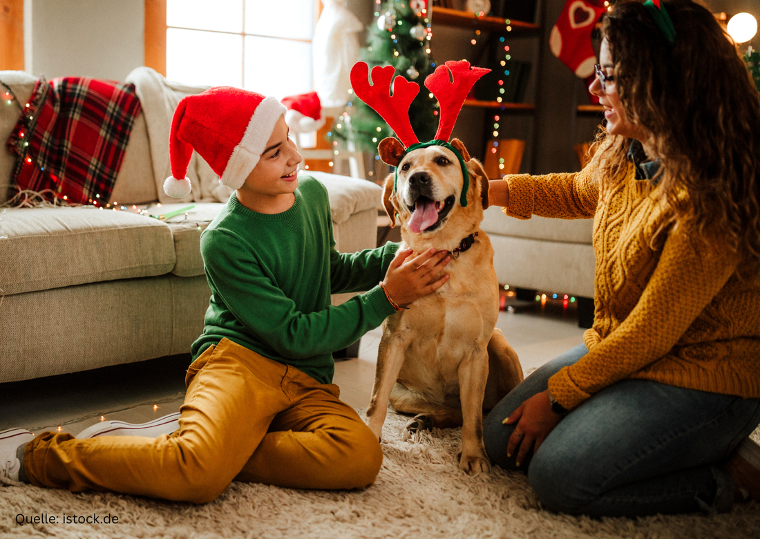 Weihnachtsvorbereitung mit Kindern und Familie