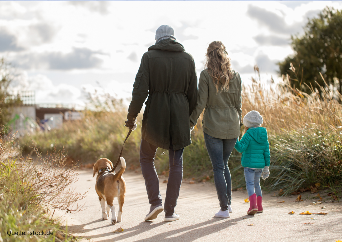 Warum Pausen produktiver sind als Durchhalten